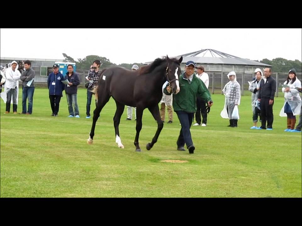 37 ペンカナプリンセス14 Youtube