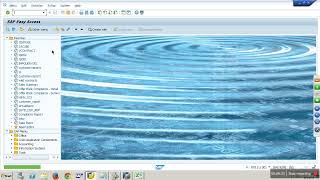 SAP BW-Transport Connection