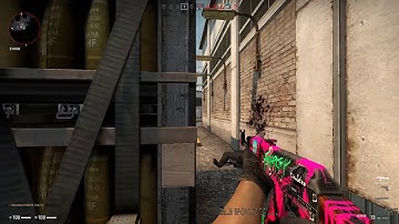 ESEA Pug #1 (Funny Moments, Fails, and Frags)