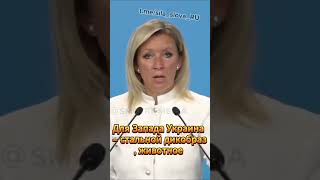 Украина для нас – братский народ, а для Запада Украина – стальной дикобраз, животное — Захарова