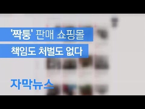   자막뉴스 짝퉁 판매 방조 인터넷쇼핑몰 허술한 법에 책임도 처벌도 없다 KBS뉴스 News