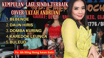 Kumpulan Lagu Sunda Terbaik Cover Yayah Andriani (LIVE SHOW Pamayangsari Cipatujah Tasikmalaya)