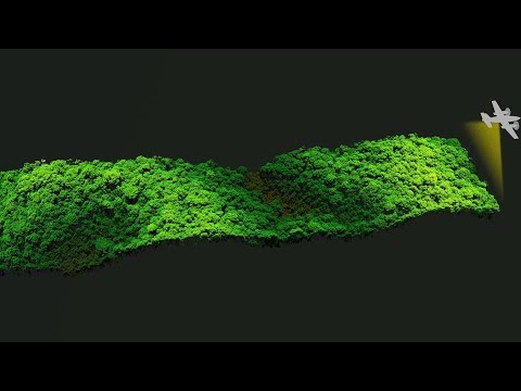 Amazon Canopy Comes to Life through Laser Data