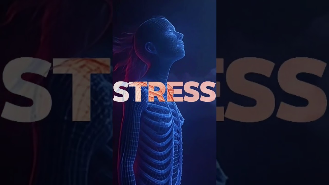 You scratch their back. Stress fades. #education #Science #anatomy #human #loosening