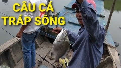 Câu cá tráp, cá hanh sông và cái kết trời mưa như trút nước  || Câu Cá Thiên Nhiên
