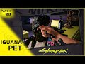 Cyberpunk 2077 - IGUANA PET (Patch 1.5) 2022