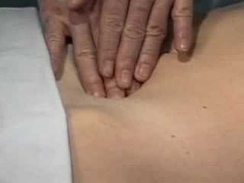 Palpation Of The Abdomen Youtube