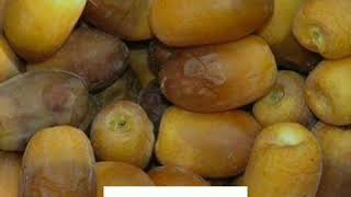 تمر عجوة بلح رطب نخيل dates