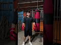 chính hãng dododios - Vỏ bao đấm bốc võ thuật