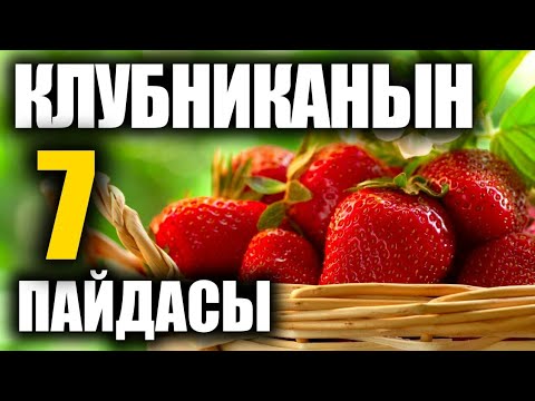 Video: Жапайы кулпунай: пайдалуу касиеттери