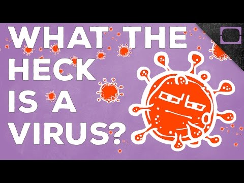 Are Viruses Alive?