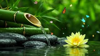 Beautiful Relaxing Piano Harmony – Water Sounds to Calm the Spirit for Meditation