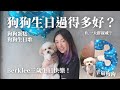 【ChanelWang】怎麼幫狗狗過生日？🐶