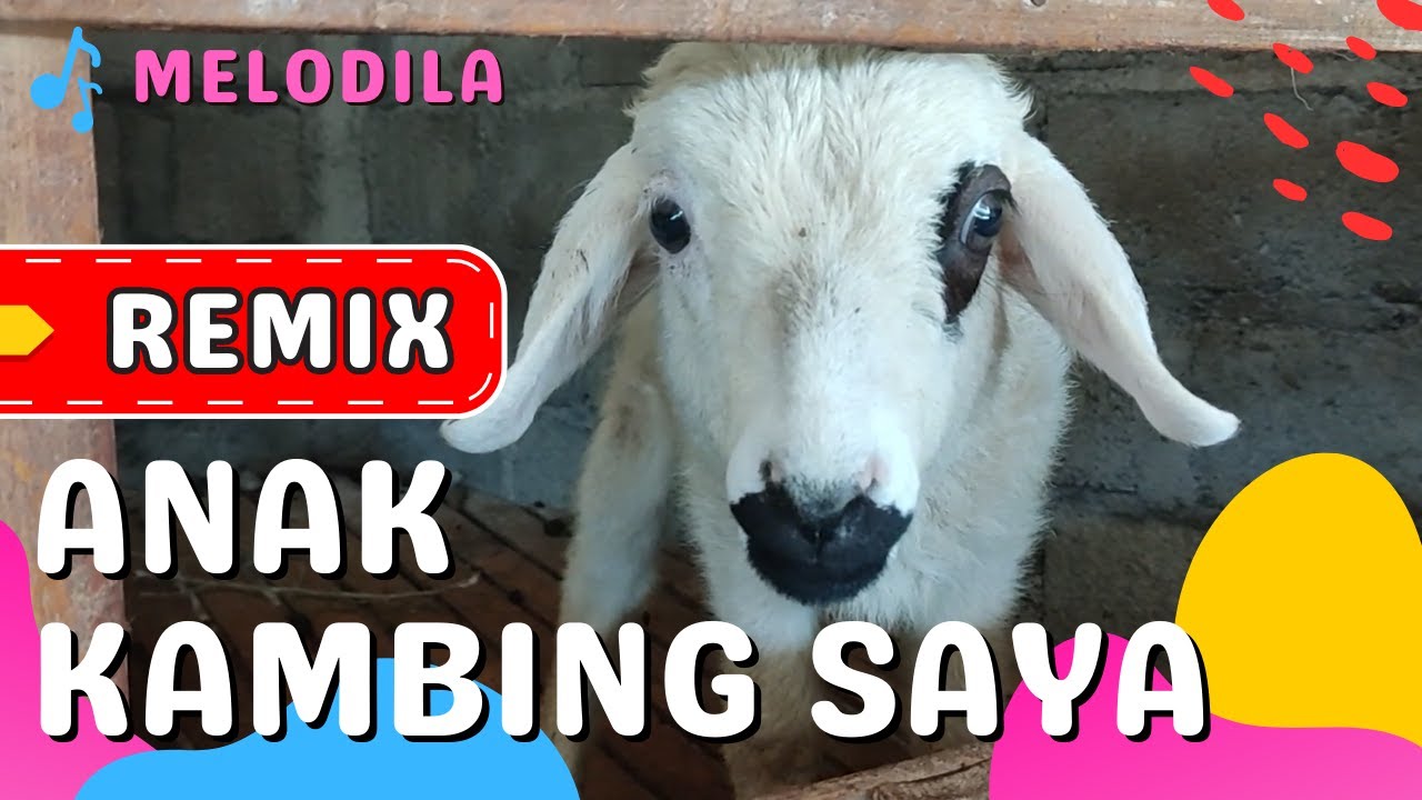 LAGU ANAK KAMBING SAYA - VERSI REMIX - Lagu Anak Anak - YouTube