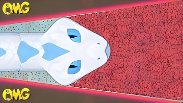 I reached 95,000+ points in snake.io🐍in the shortest possible time🐍Collect big score from the MAP🐍