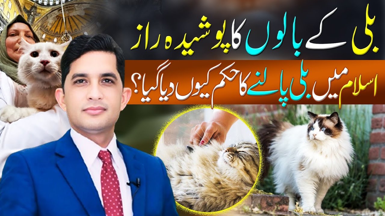 The Hidden Secret of Cat’s Fur in Islam | Asad Mehmood Inspirational Speaker