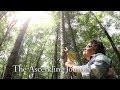 The ascending journey full documentary