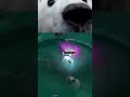 FULL AP VOLIBEAR IS BROKEN 😂 #leagueoflegends #lol #viral