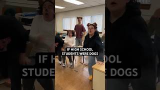 grade school is k-9 #americanhighshorts #animals #highschool #class #dogs #lol