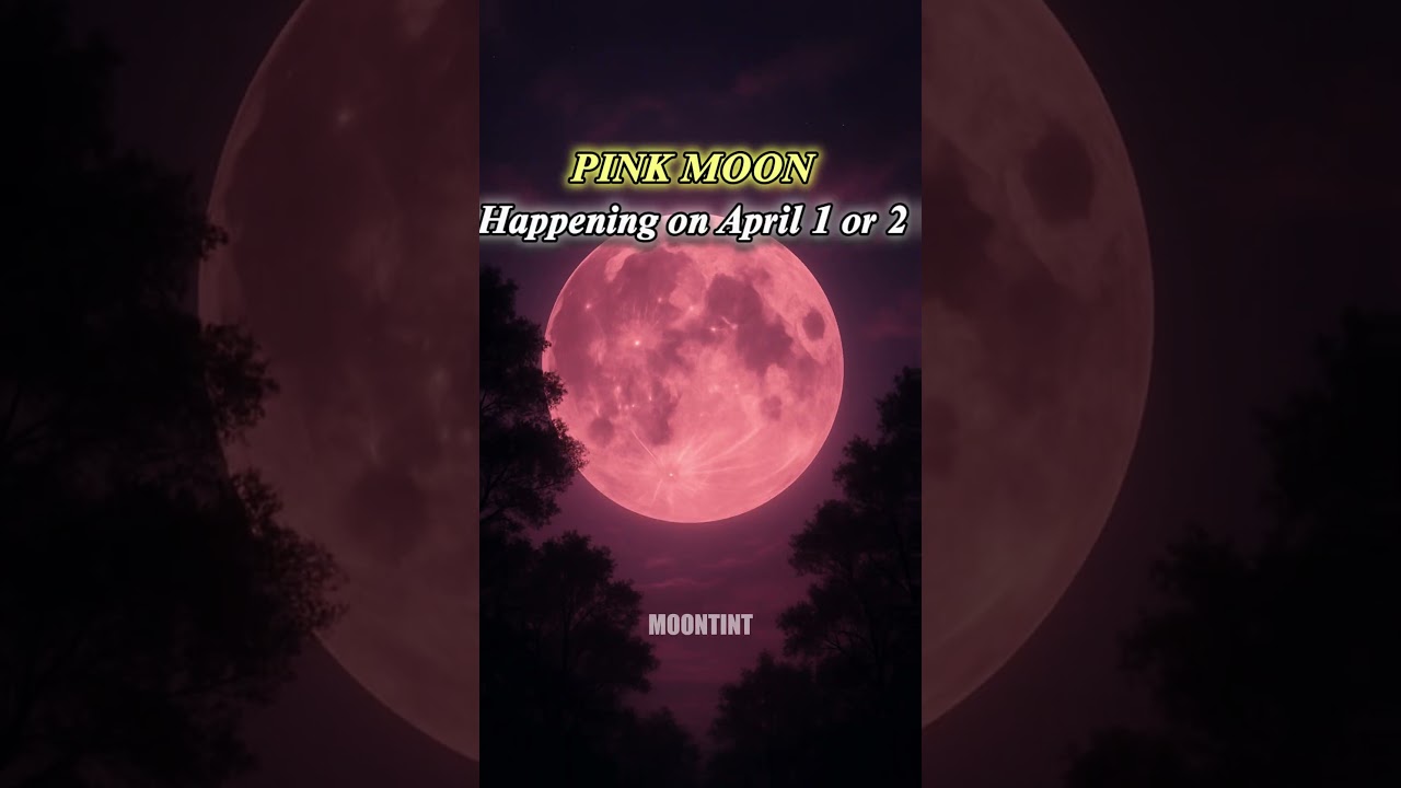 Не пропустите это ПОТРЯСАЮЩЕЕ событие «Розовая Луна»... 