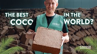 CANNA COCO is the Best Coco Coir for Plant Cultivation