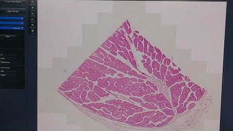 Zeiss Axio Scan.Z1 Fluorescence Motorized Slide Scanner Microscope [BOSTONIND] - 17564