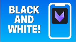 VivaCut - How To Make Video Black and White screenshot 4