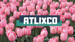 ¿Por qué se le conoce como Atlixco de las flores?