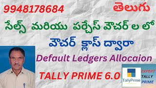 266. Default Ledgers Allocation With  Voucher Class in Tally Prime 6.0 | TELUGU | ExpertTallyPrime