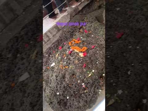 NEPAL JANAK PUR DHAAM 🙏 #nepalvlog #nepal #shortsfeed #video