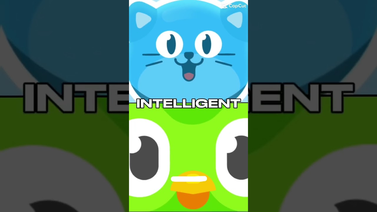 Airlearn vs Duolingo 🦉vs 🐱