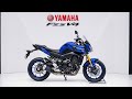 Yamaha FZS V4 2026 Review: The Street Bike That Redefines Power!"