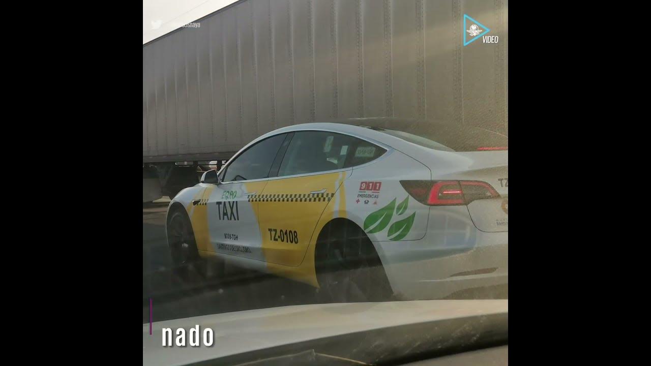 Convierten auto Tesla en taxi y se vuelve viral; ofrece servicios en  Querétaro 