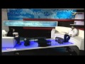 أحد معجزات الولادة تعرفي على