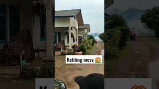 Mess Perkebunan kelapa Sawit dari dekat #shorts #videoshort #short #gambut#kebunsawit #viralvideo