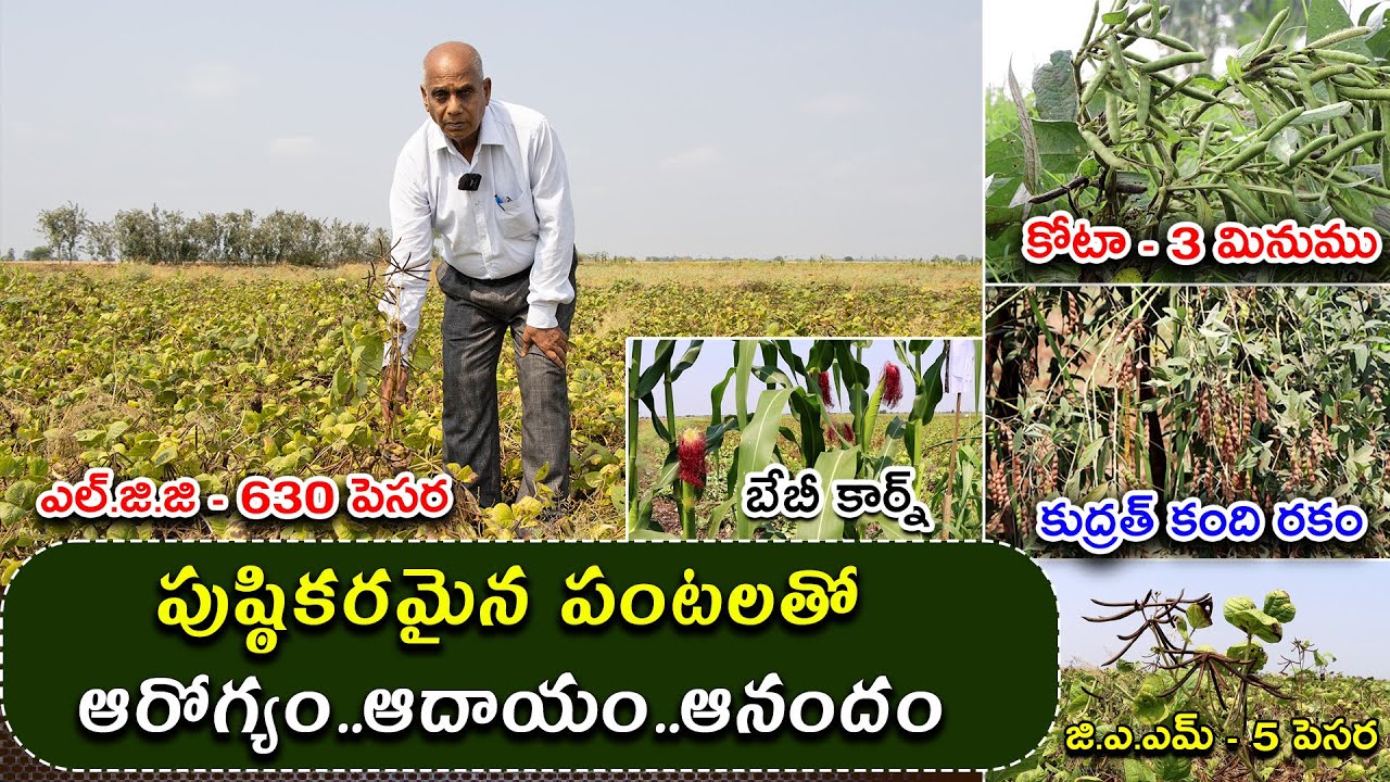 పుష్ఠికరమైన పంటలతో ఆరోగ్యం ఆదాయం || Success Story of Mixed Farming || Karshaka Mitra #agriculture