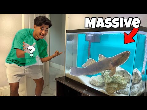 Catching RARE Fish for my *NEW* Aquarium!