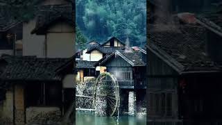 Aysel Şeker - Ben Doğarken Ağlamışım Resimi