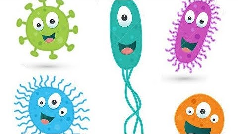 Ch-8 Cell: Structure and Function (Part-3)
