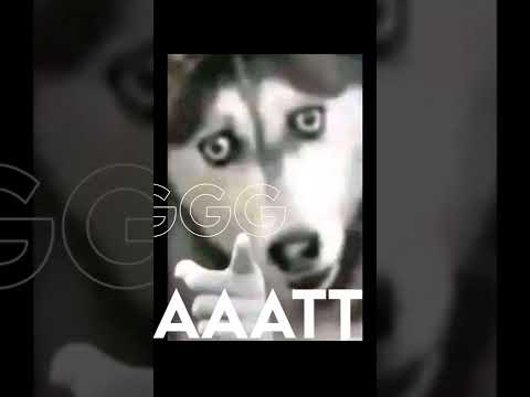 Lil salmonela x Lil Kujang - Ratna Anjink VIP