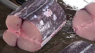 170 pounds Marlin fish knife cutting skills in fish market - fastest Marlin fish cutting