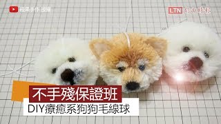 保證不失敗手作班！ 一起動手做療癒系萌犬毛線球