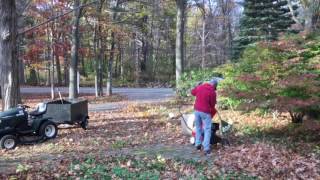 The Leaf Sucker-Upper
