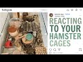 Reacting to Your Hamster Cages! #4