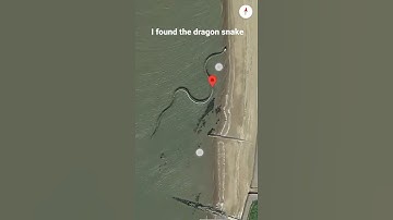 Thumbnail of Real dragon snake, I found the real dragon snake by Google map