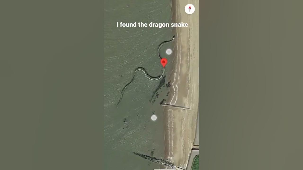 Real dragon snake, I found the real dragon snake by Google map Real dragon snake, I found the real dragon snake by Google map