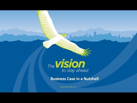 What is the MSP Programme Business Case?