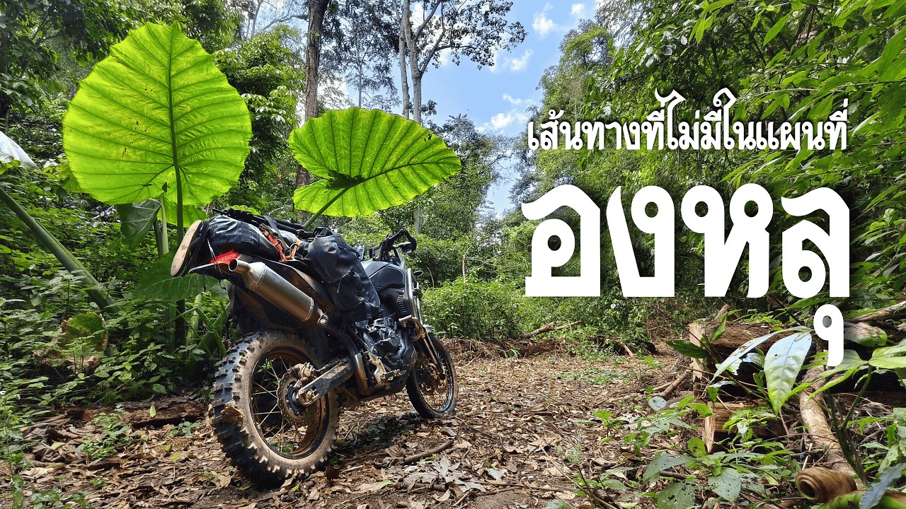 Tenere 700 | บ้านองหลุ กาญจนบุรี เส้นทางลับที่ไม่มีในแผนที่