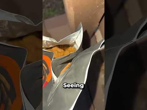 SHE FOUND SOMETHING DISGUSTING IN THE DOG FOOD !