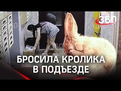 Выкинула кролика в подъезд – реакция жителей